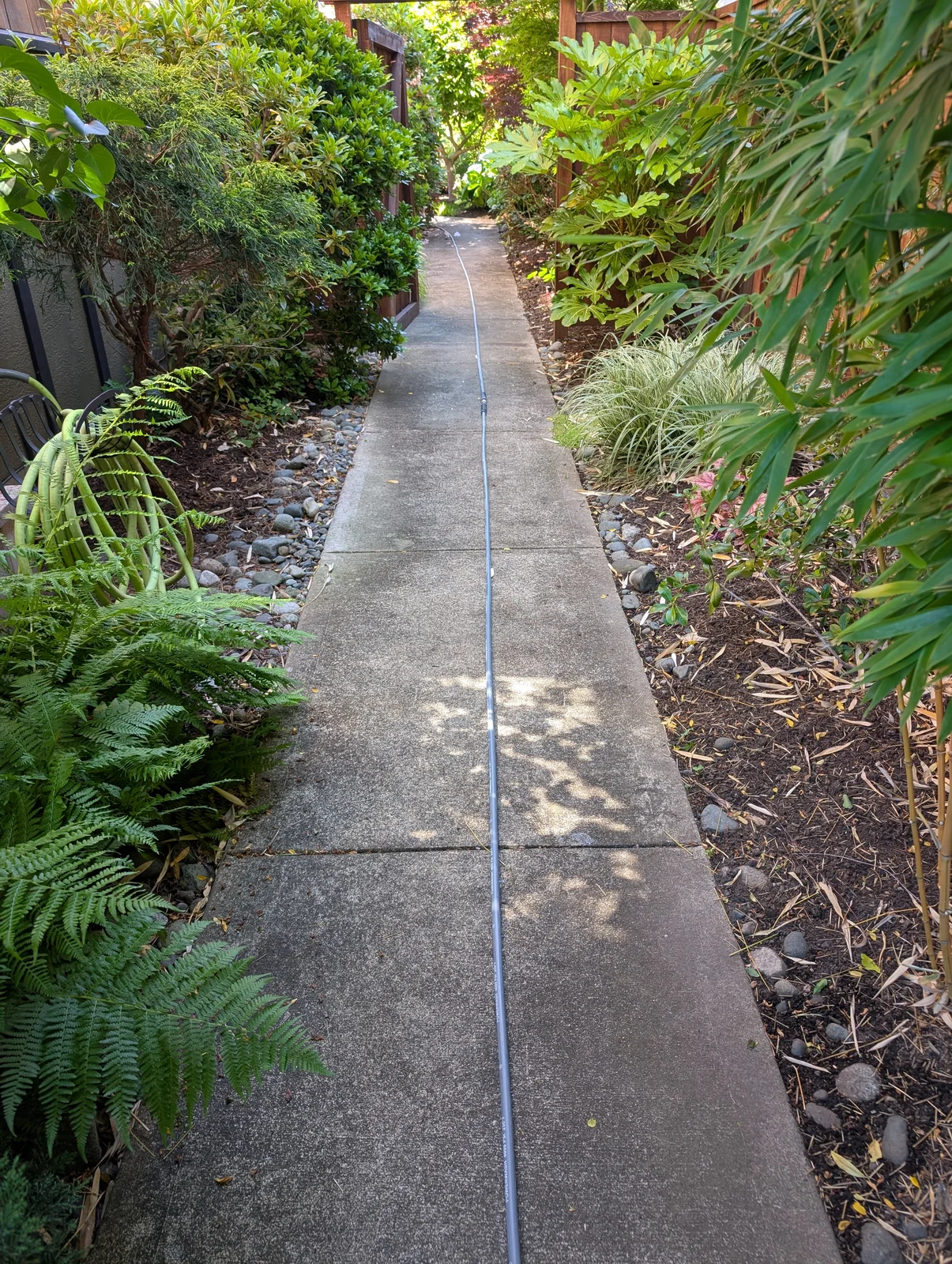 A brighter garden walkway — before cleaning